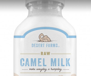 win-camel-milk
