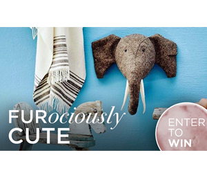 win-a-fiona-walker-nursery-accent