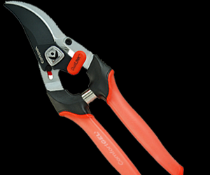 win-a-pruning-tools-from-corona