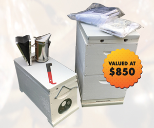 win-one-of-3-awesome-beekeeping-prizes
