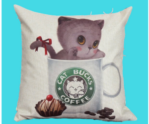 win-10-cute-kitty-pillows
