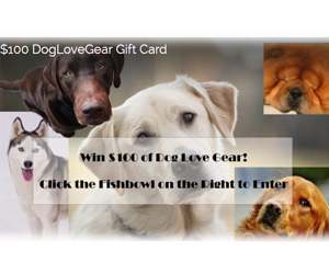 win-100-doglovegear-gift-card