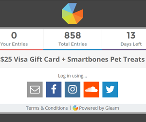 win-25-visa-gift-card