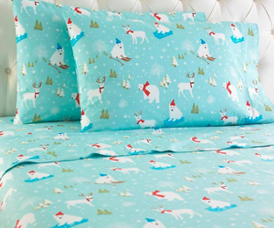 win-a-micro-flannel-electric-blanket