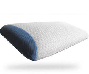 win-bear-pillow