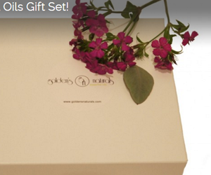 win-essential-oils-gift-set