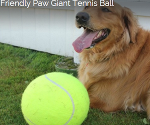 win-friendly-paw-giant-tennis-ball