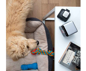 win-the-modern-muse-gift-list-giveaway
