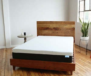 win-a-bear-mattress