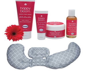 win-a-pregnancy-prize-pack