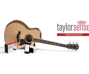 win-a-taylorsense-guitar-health