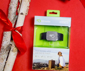 win-a-whistle-gps-dog-tracker