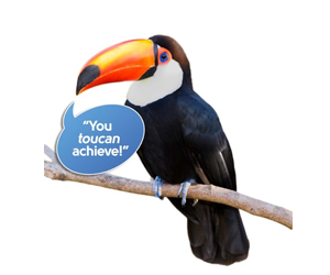 win-a-free-set-of-zoozingo-animal-cards