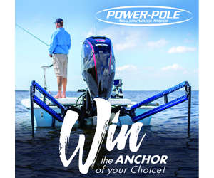 win-the-anchor-of-your-choice