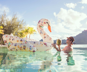 win-the-graymalinxfunboy-swan