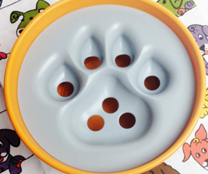 Win-Two-PAW5-Rock-‘N-Bowl-Puzzle-Feeders!