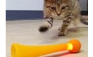 Win Bright Bopper the New Irresistible Light Up Cat Toy