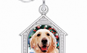 Win 1 of 3 sterling silver PhotoArt charms
