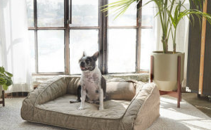 Win Brentwood Home Pet Bed Giveaway!