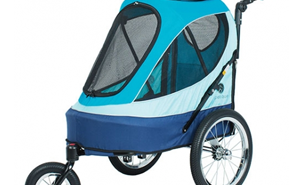 Win an All Terrain Sailboat Pet Jogger